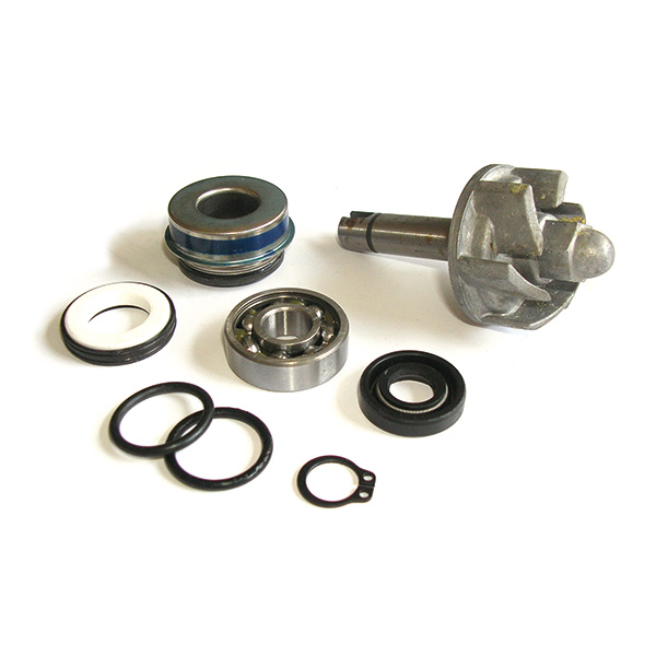 KIT RIPARAZIONE POMPA ACQUA APRILIA 250 LEONARDO