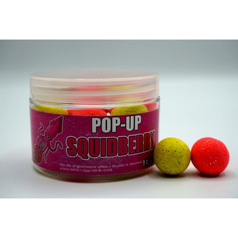 Boilies Pop-Up SquidBerry 15 mm