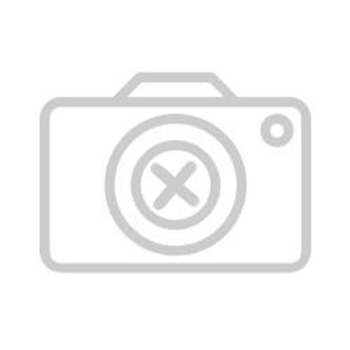 Canon P1 10000 punti (CAN P1 STAPLES CARTRIDGE)