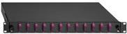 Rutenbeck - Glasfaserkabelkiste - Sc Duplex Mm X 24 - Schwarz, Aquamarin, Ral 9005 - 1u - 48.3 Cm (19") (2280305240)