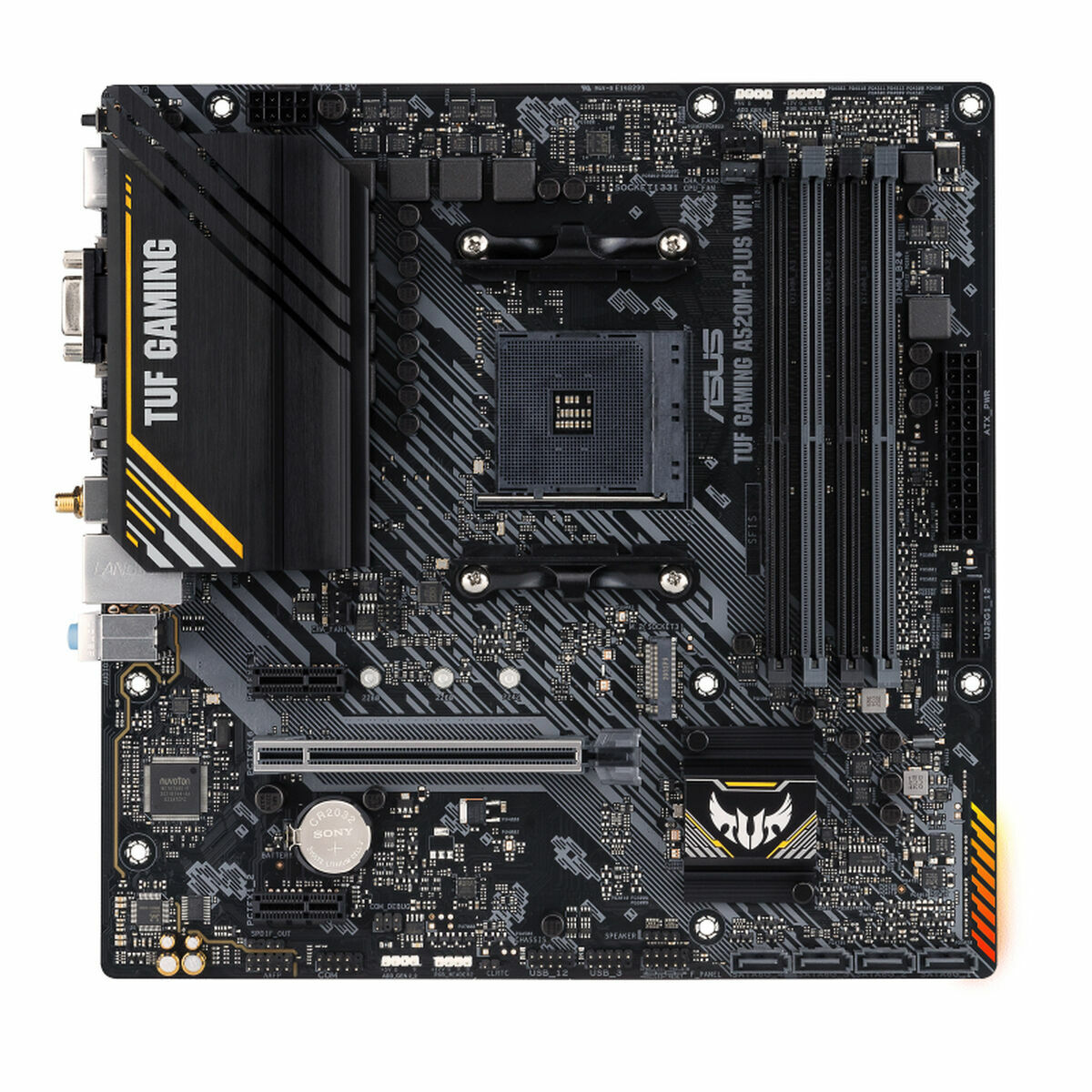 Scheda Madre Asus Amd Am4 Amd A520 Amd