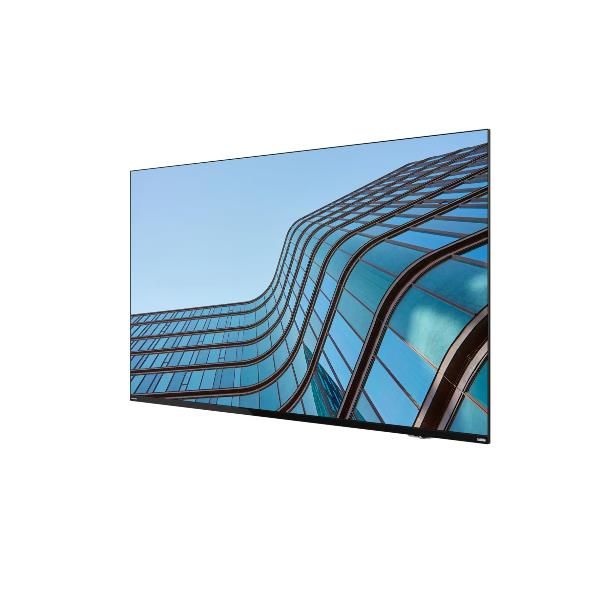 Lenovo Thinkvision E55 Lfd Monitor Pc 138,7 Cm [54.6] 3840 X 2160 Pixel 4k Ultra Hd Ips Nero (lenovo Thinkvision E55 Lfd - 55 Diagonal Class [54.6 vi