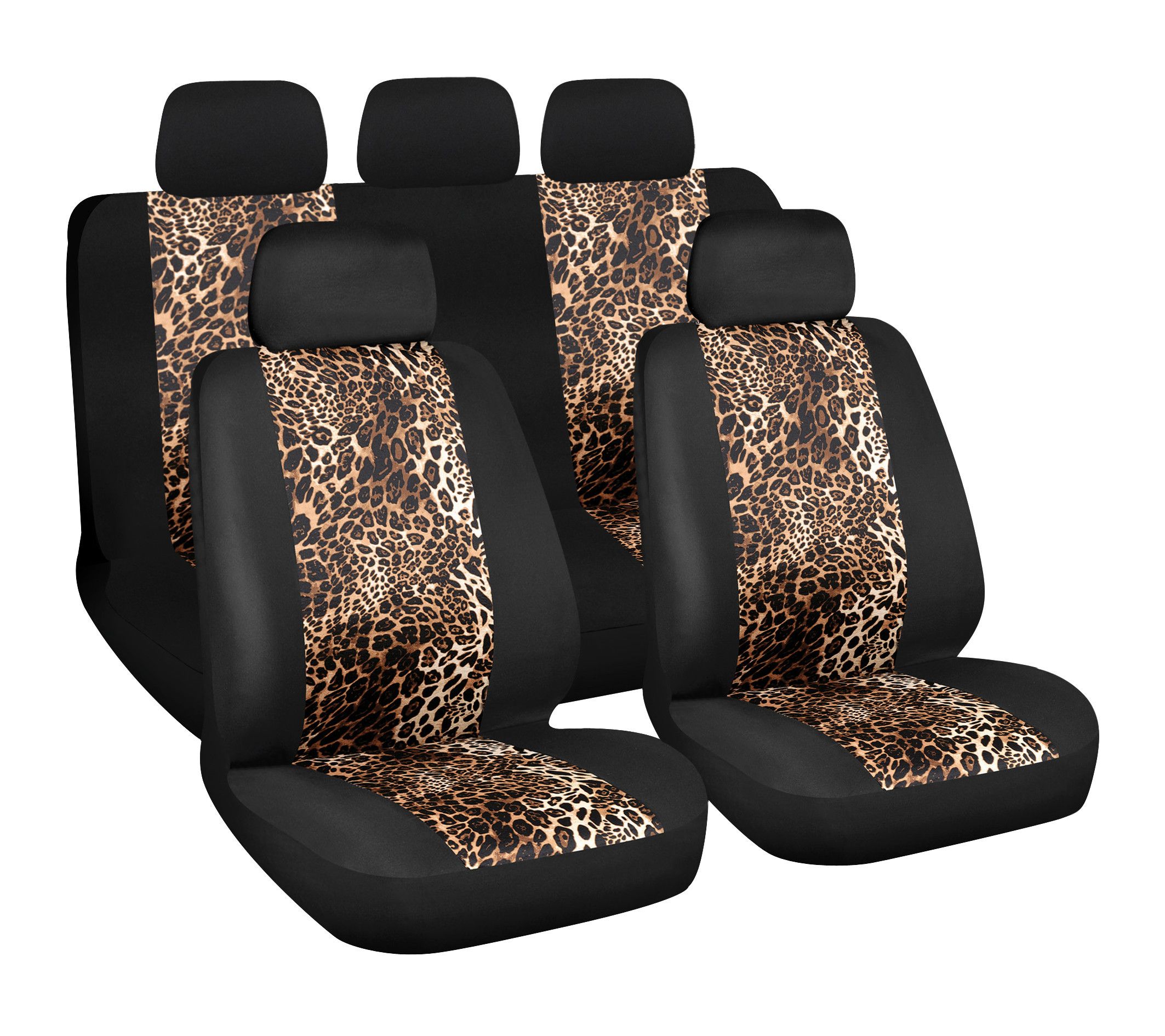 Leopard, set fodere coordinate