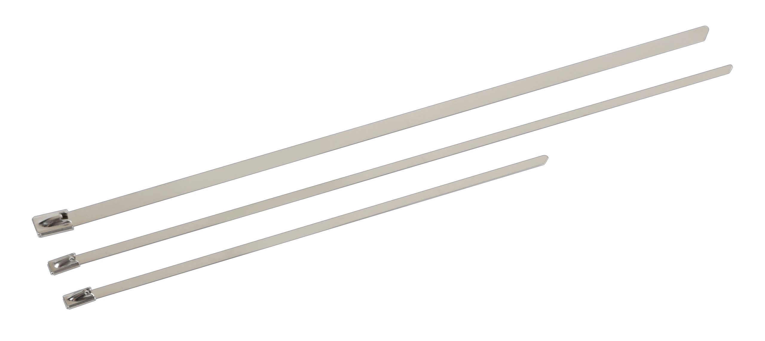 Fascette in acciaio inox, set 20 pz - 4,7x200 mm