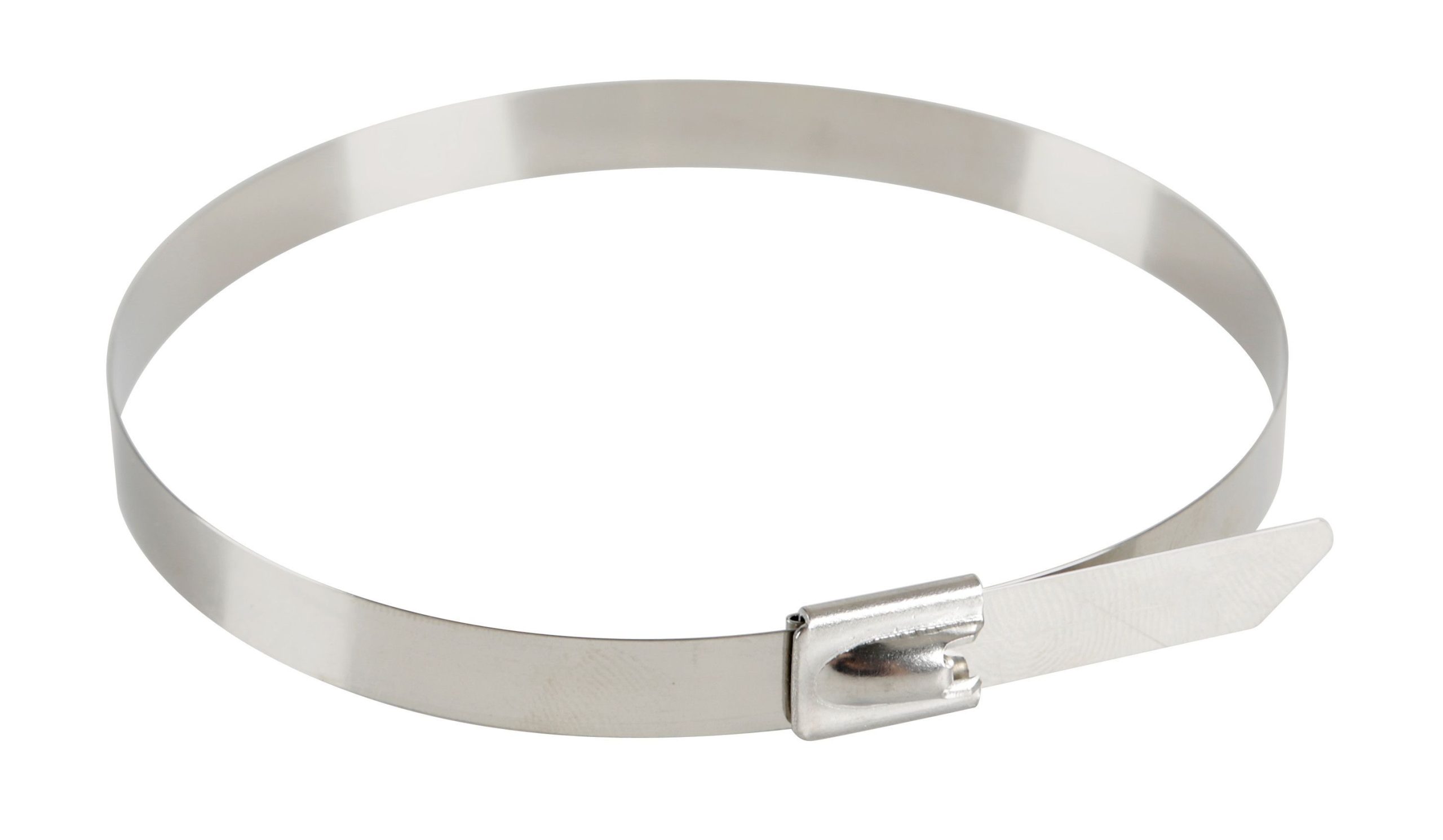 Fascette in acciaio inox, set 20 pz - 7,9x300 mm