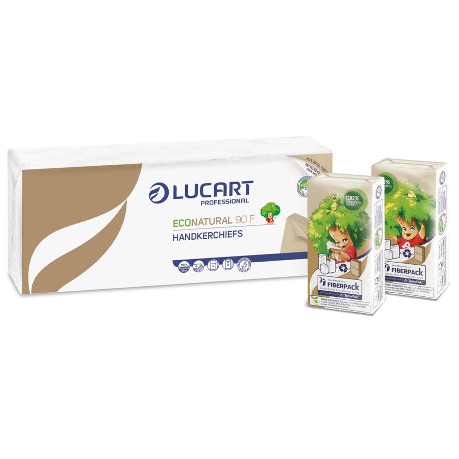 Fazzoletti di carta - Lucart Professional Econatural 90F - 4 veli, 9 fazzoletti - Conf. 10 pacchetti
