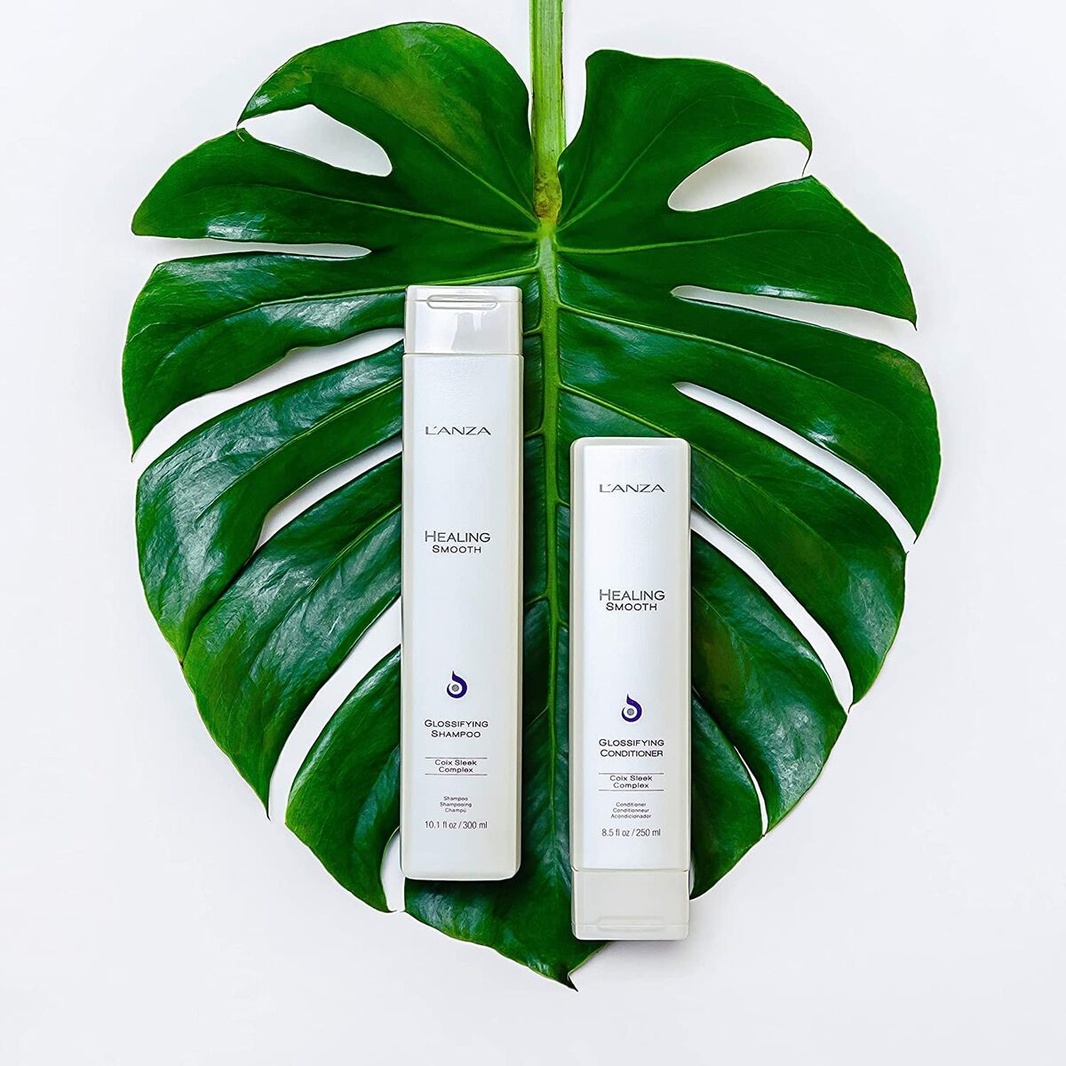 Shampoo Idratante L'anza Healing Moisture 300 Ml Capelli Secchi - Image 4