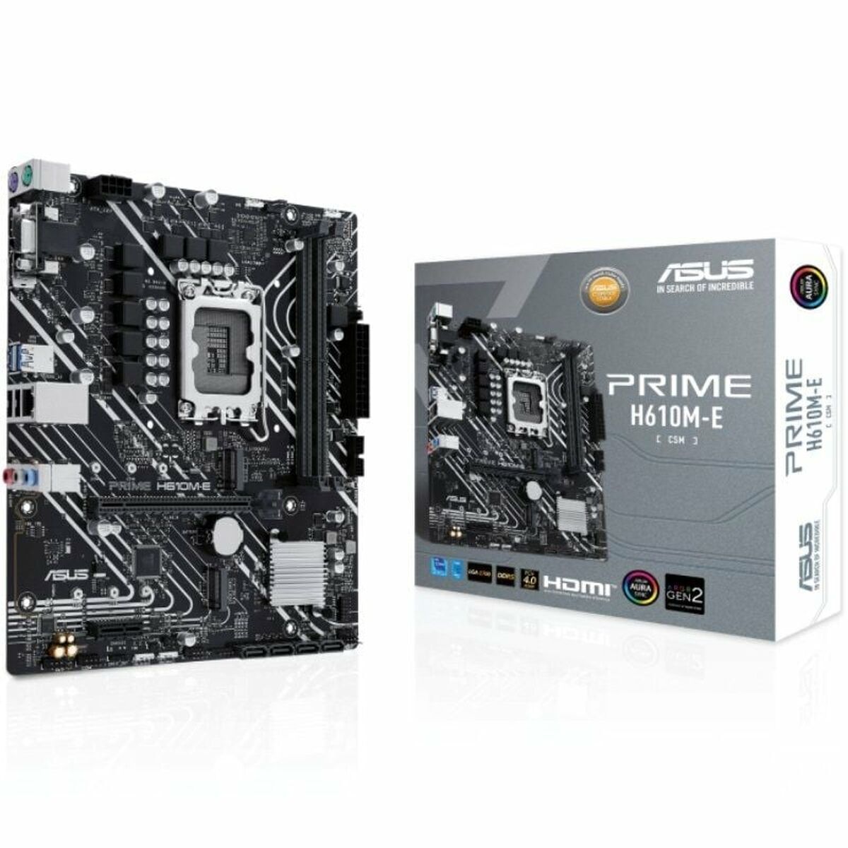 Scheda Madre Asus Prime H610M-E Csm Lga 1700