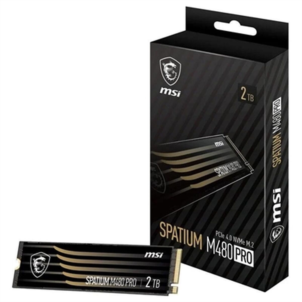Hard Disk Msi Spatium M480 Pro 2 Tb Ssd