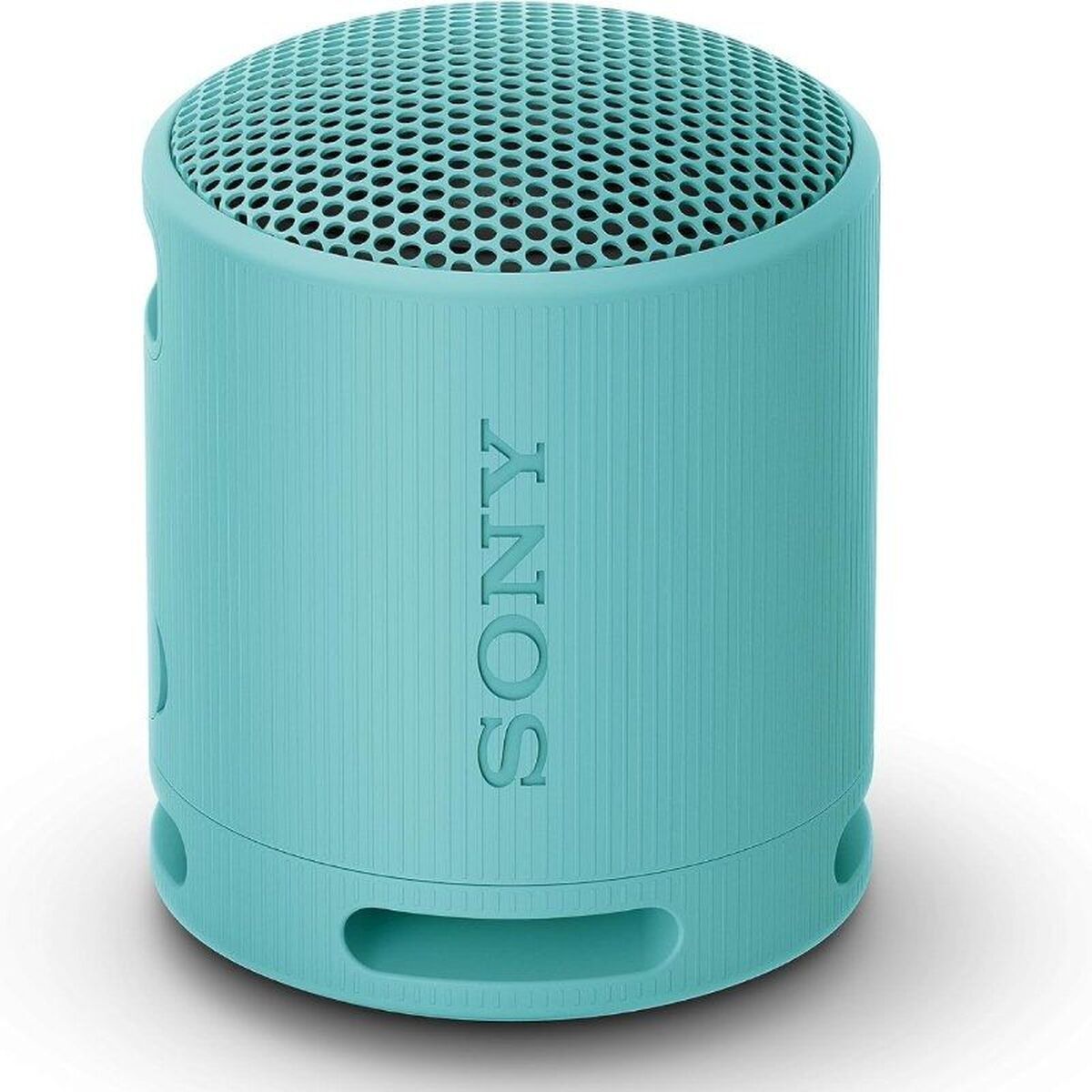 Altoparlante Bluetooth Portatile Sony Srsxb100l Azzurro