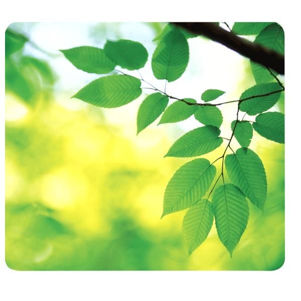 MOUSEPAD ECO EARTHSERIES FOGLIE