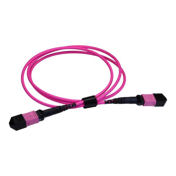 Cablenet MPO-12TC4MPO5EV cavo InfiniBand e in fibra ottica 5 m Magenta, Viola (CNL 5M OM4 B12 MPO 12F Ev TRUNK M-B)