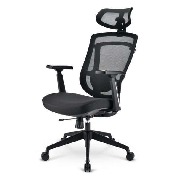 Sharkoon OfficePal C20 Seduta imbottita Schienale a rete (Sharkoon OfficePal C20 Polstret s?de R)