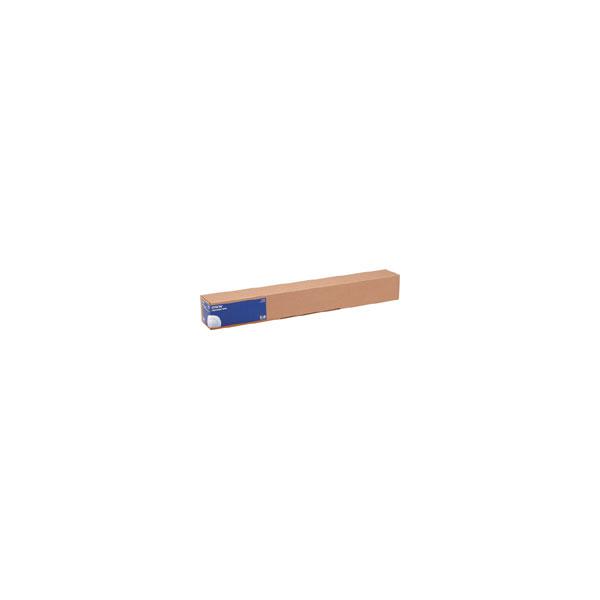 Epson Photo Paper Gloss[250], in rotoli da 91,40cm [36''] x 30, 5m (PHOTO PAPER GLOSS-36IN 30 5M 250)