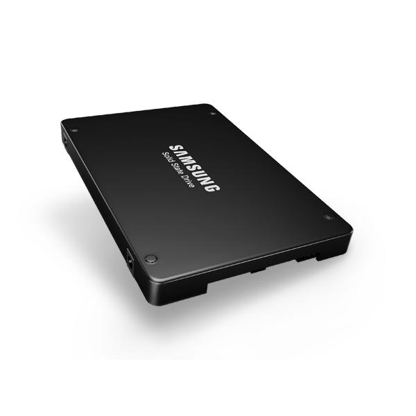 Samsung PM1643A 1,92 TB 2.5 SAS (PM1643A 2.5 1920 GB SAS - PM1643A, 1920 GB, 2.5, 2100 - MB/s, 12 Gbit/s - Warranty: 60M)
