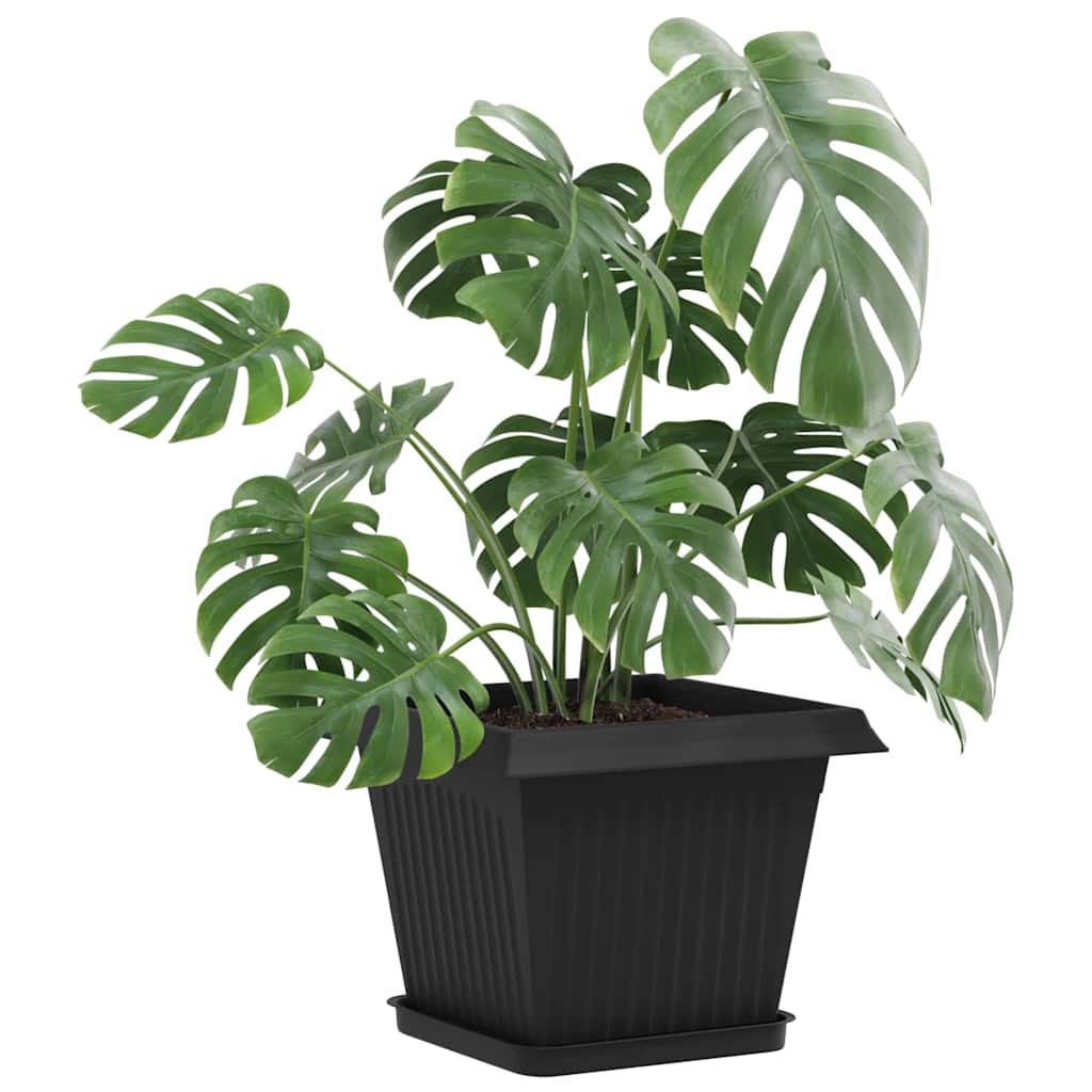 Vasi Per Piante 6 Pcs Nero 28,5 X 28,5 X 22 Cm Plastica - Image 3