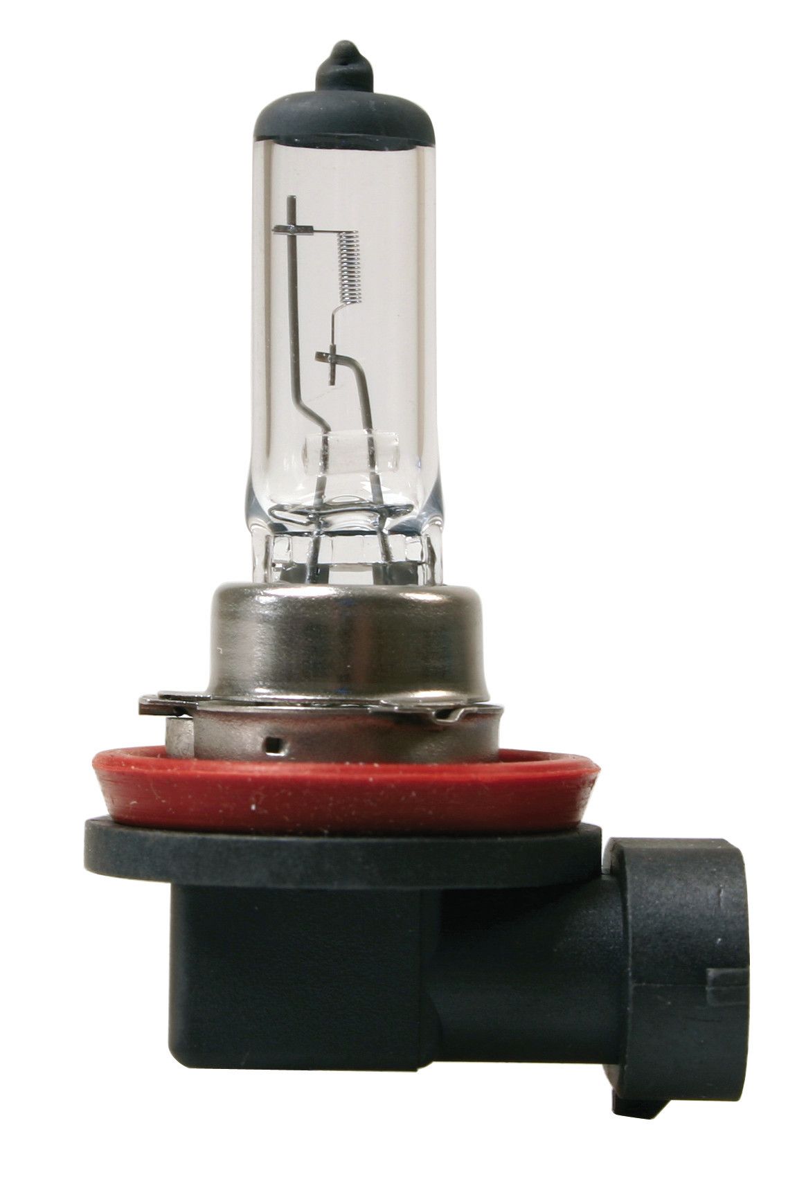 12V Lampada alogena - H11 - 55W - PGJ19-2 - 1 pz - Scatola