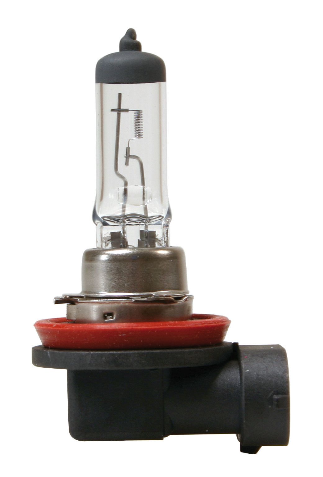 12V Lampada alogena - H8 - 35W - PGJ19-1 - 1 pz - Scatola