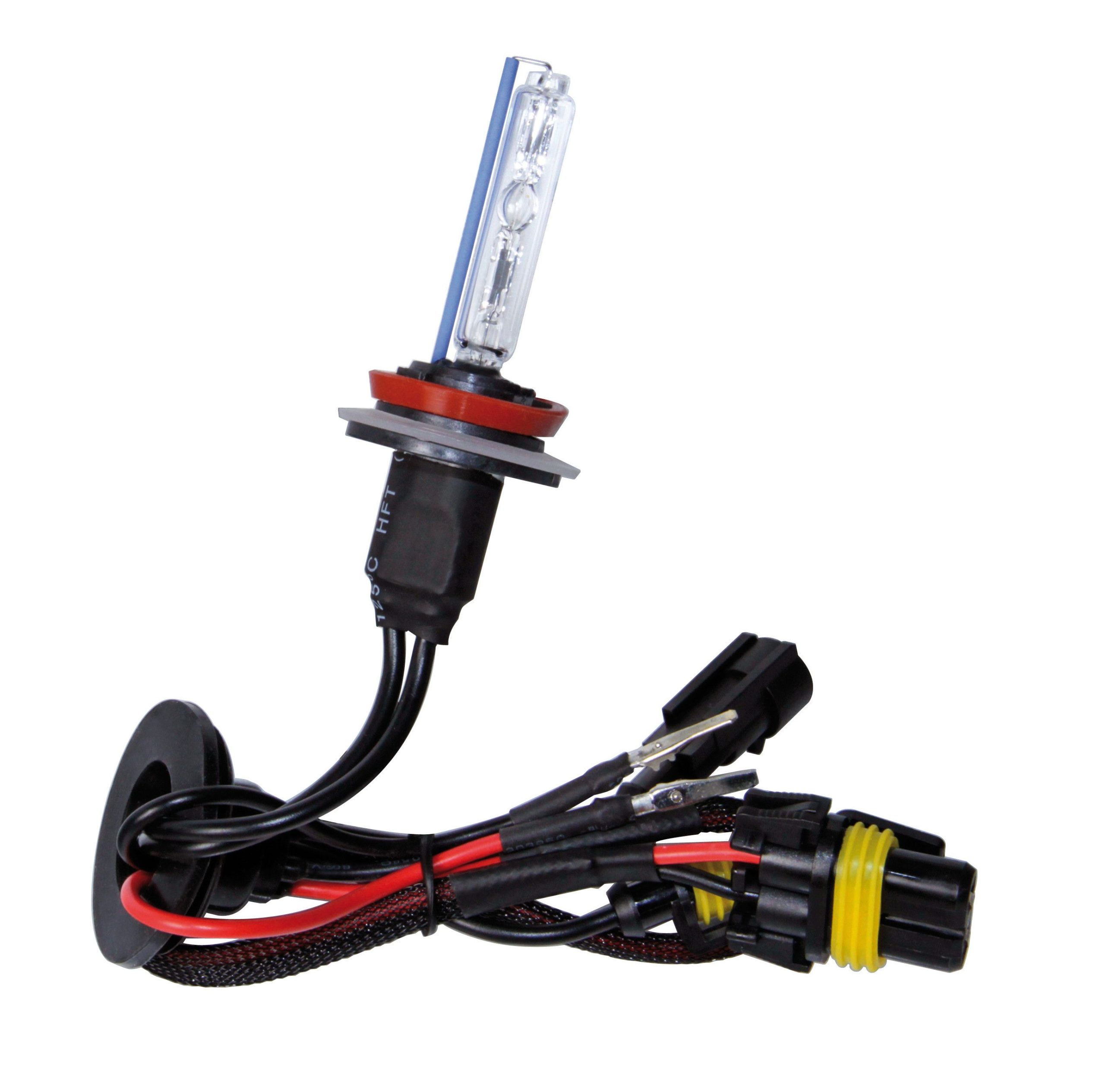 12/24V Lampadina HID Xenon 6.000K - H9 - 1 pz - Scatola