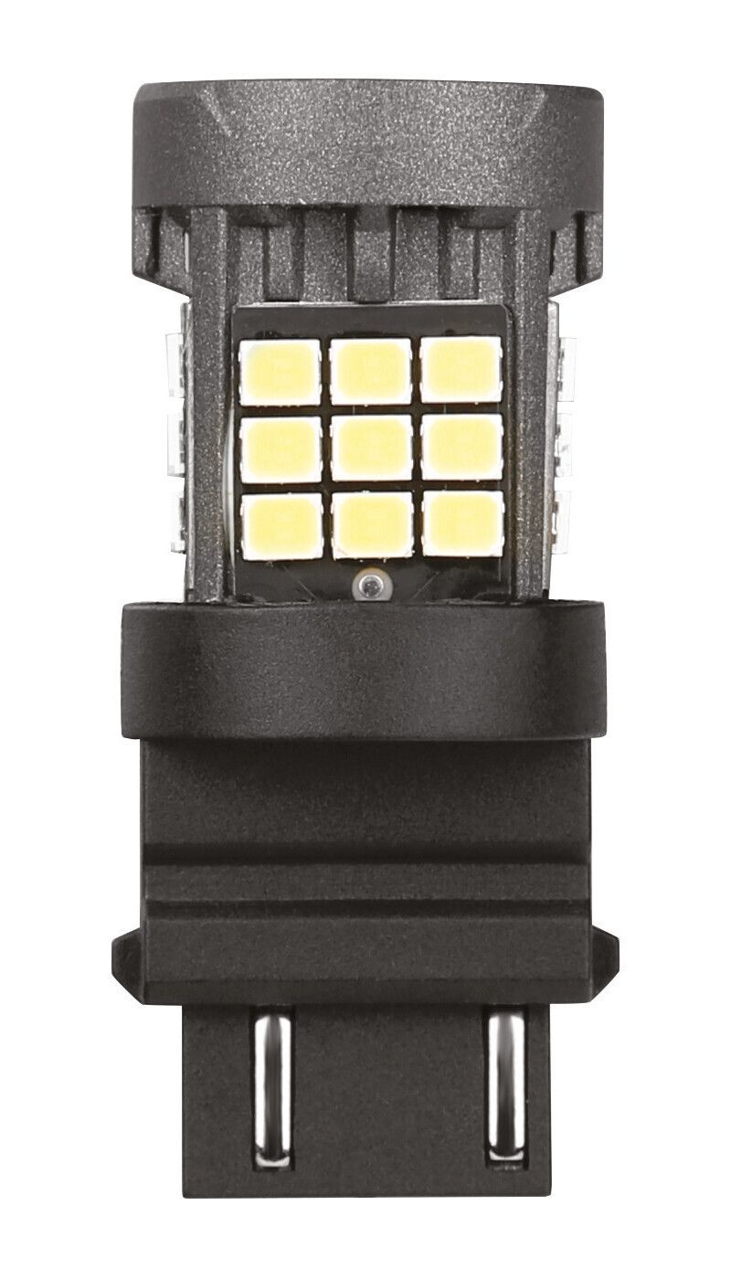 12/24V Pro-User Series - (P27/7W) - W2,5x16q - 1 pz - Scatola - Bianco - Doppia polarità - Resistenza incorporata