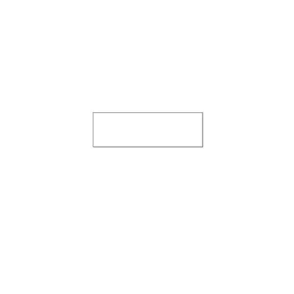Seiko Instruments SLP-2RLH etichetta per corrispondenza Bianco (28 x 89 mm 520 pcs. [2 - roll[s] x 260] address labels)