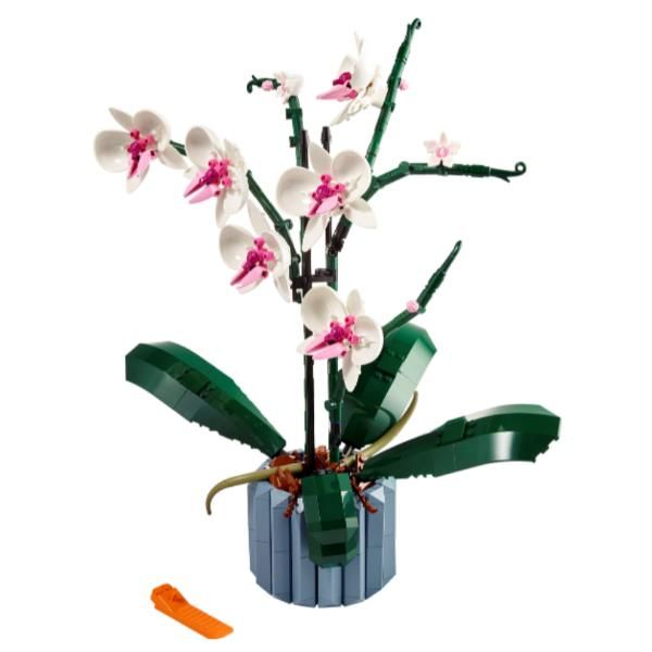 ORCHIDEA - Image 3