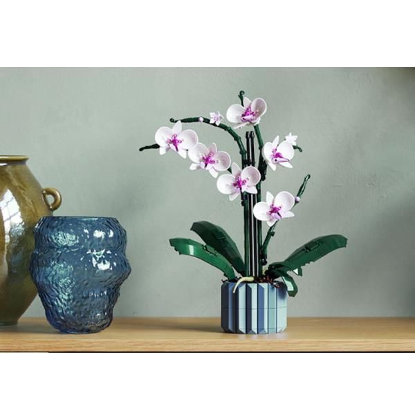 ORCHIDEA - Image 5