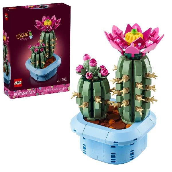 CACTUS IN FIORE