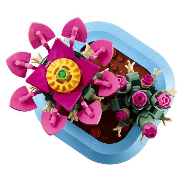CACTUS IN FIORE - Image 5