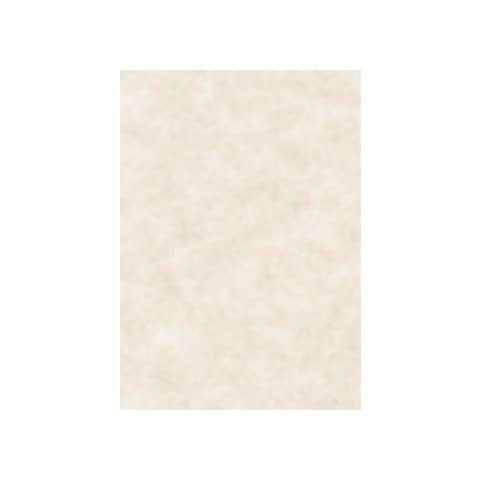 Carta pergamenata Decadry Linea Corporate A4 avorio 95 g/m² Conf. 100 fogli - T105002