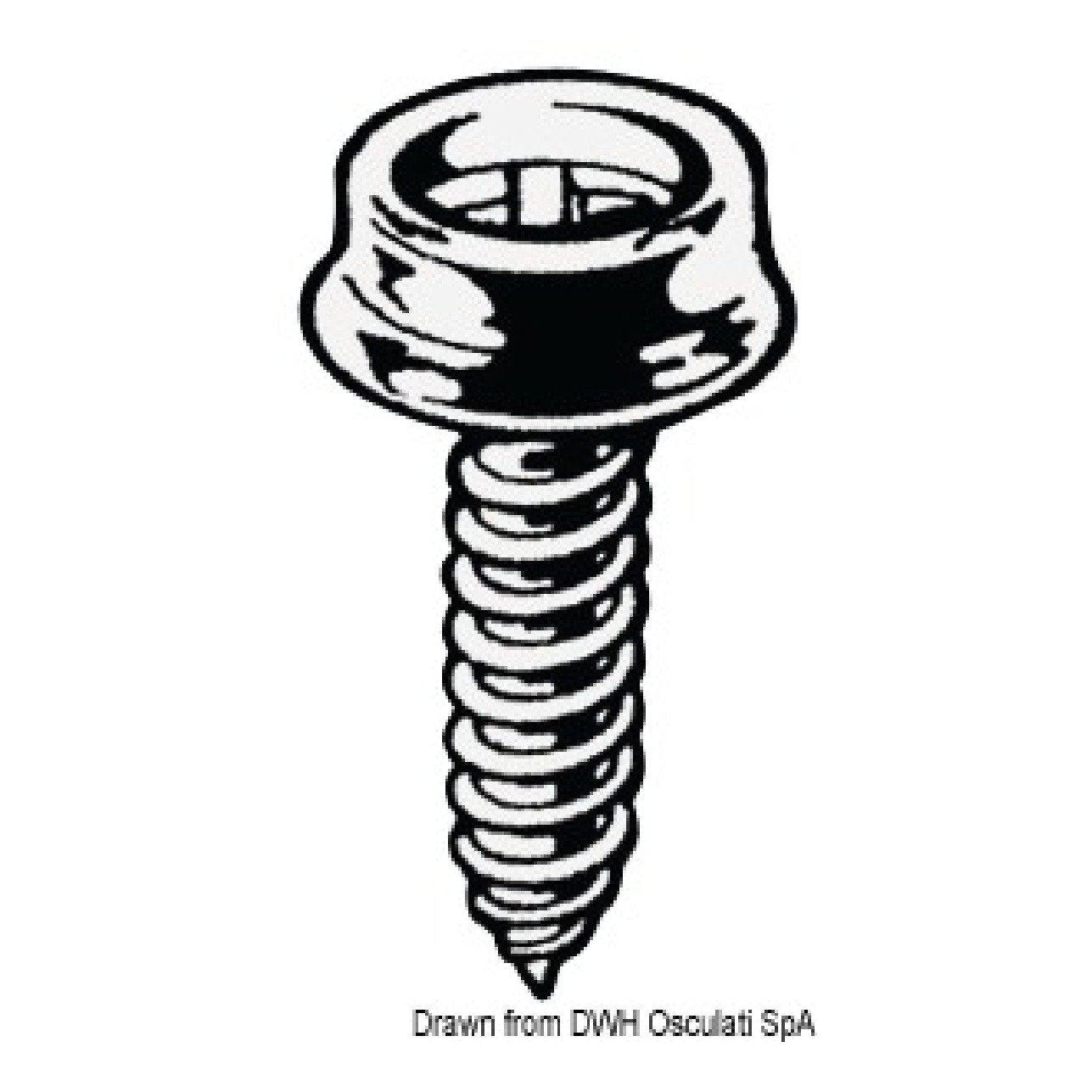 Osculati Bottone maschio ottone 10.306.00 - 1 confezione da 100 pezzi