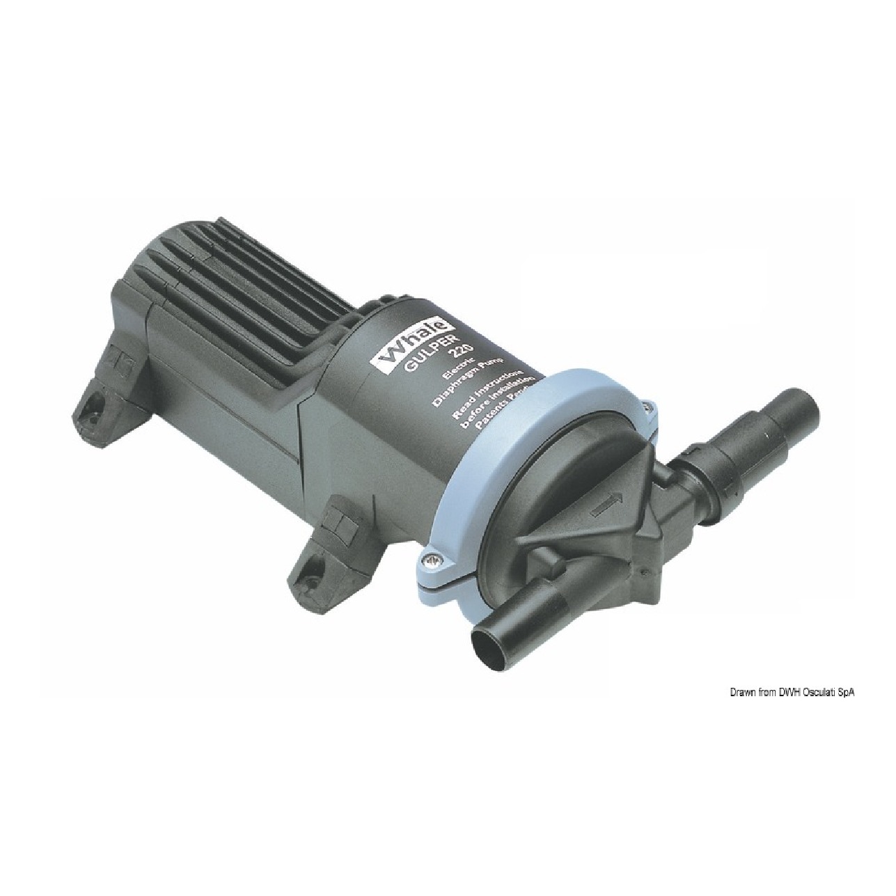 Whale Pompa Gulper 220 24 V