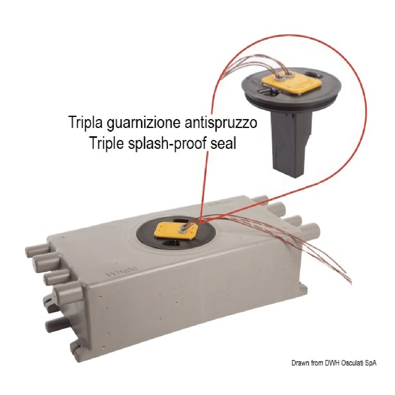 Whale Pozzetto 20 L con sensore elettronico per 2 pompe