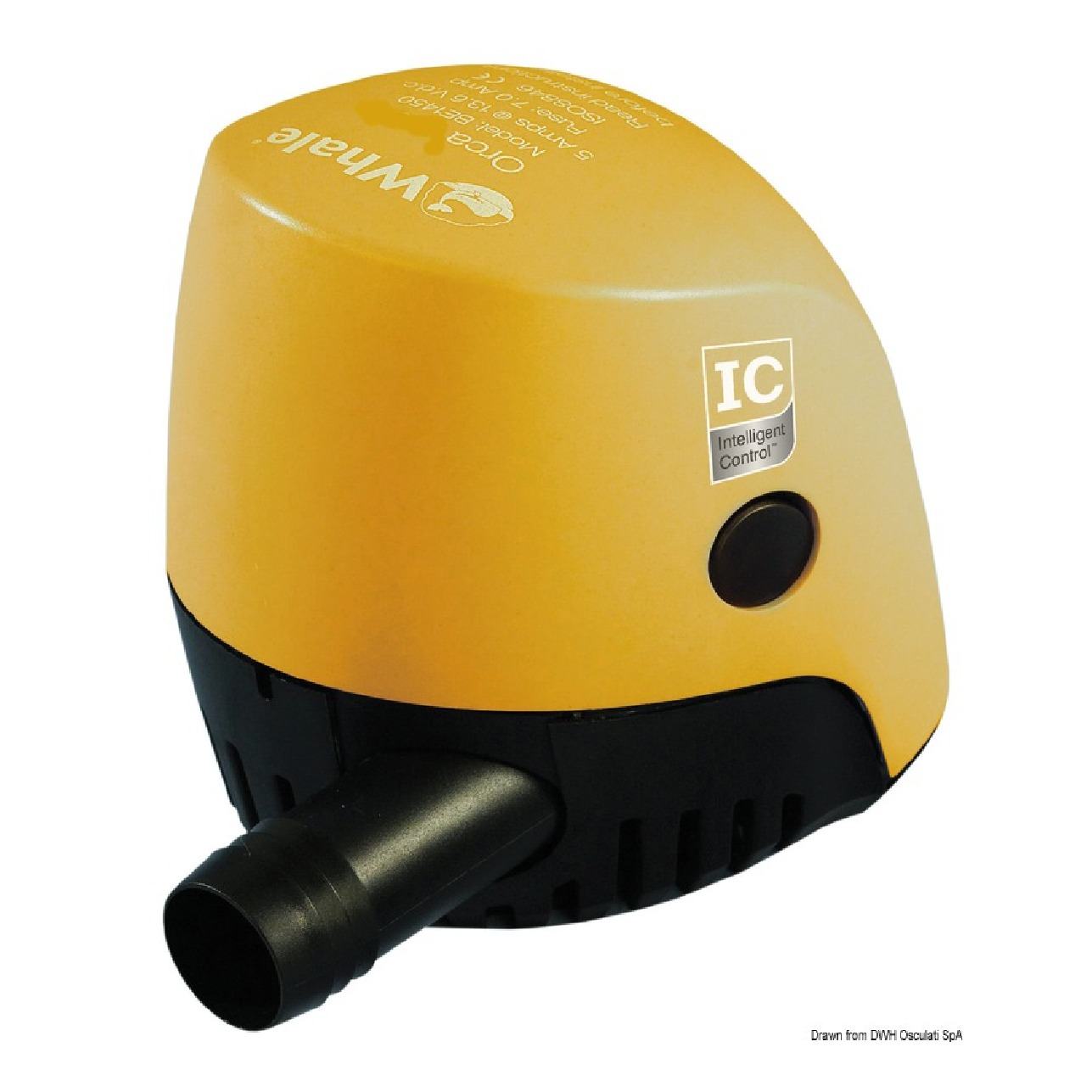 Whale Pompa automatica Orca 12 V 80 l