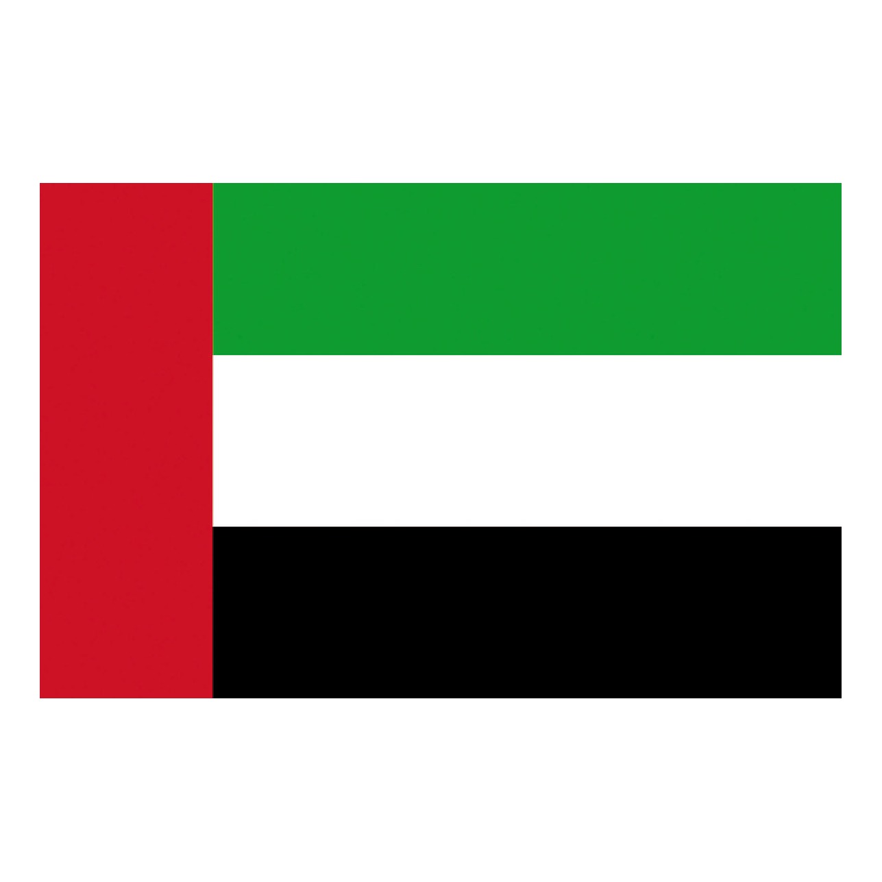 Osculati Bandiera Emirati Arabi Uniti 20 x 30 cm