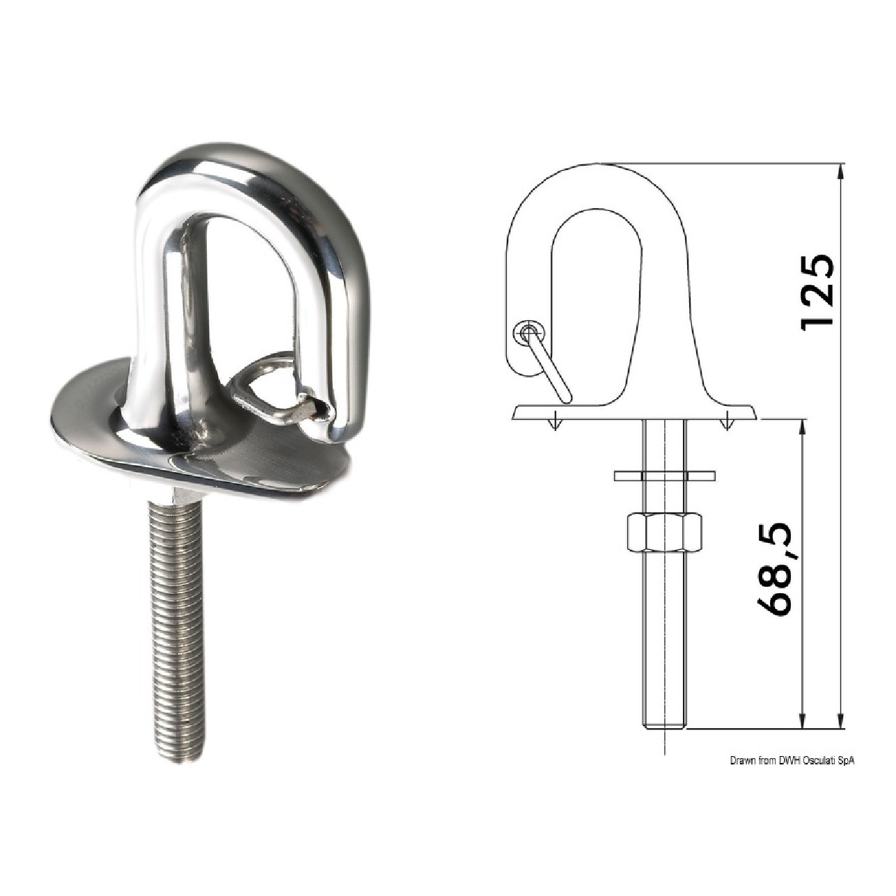 Osculati Anello con fermo a molla in acciaio inox