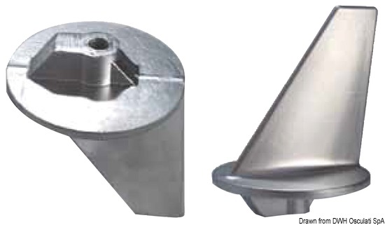 Osculati Anodo pinna Mercury poppieri