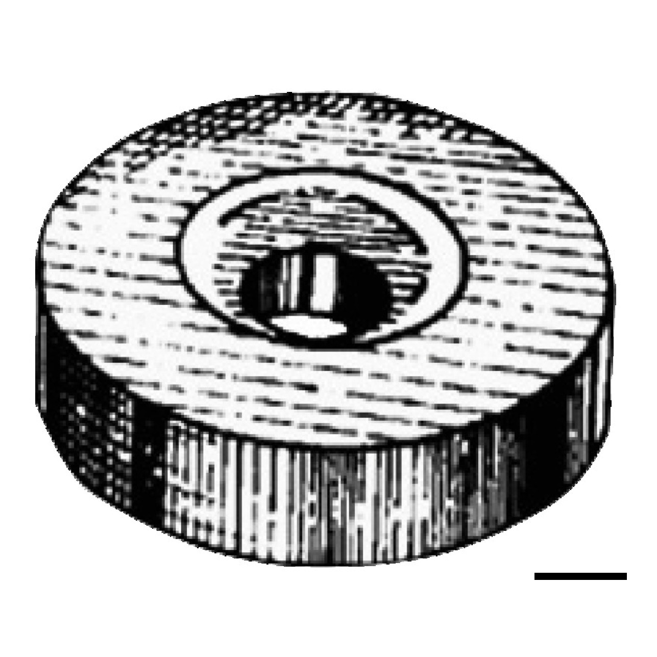 Osculati Anodo alluminio Mercury a rondella 20x7