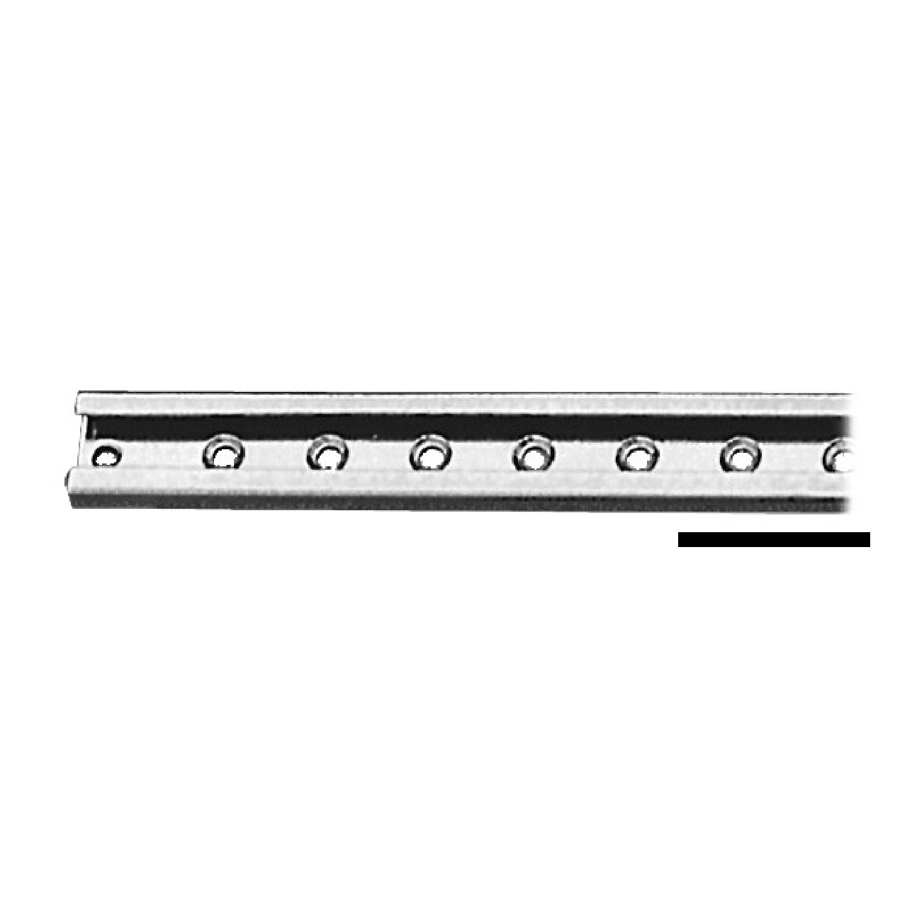 Viadana Rotaia inox per cursori 25 mm 1 m