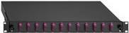 Rutenbeck - Glasfaserkabelkiste - Sc Duplex Mm X 24 - Schwarz, Ral 9005, Erika - 1u - 48.3 Cm (19") (2280306240)