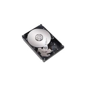 Lenovo - Festplatte - 500gb - HoT-Swap - 2.5" Sff Slim (6,4 Cm Sff Slim) - Sata 3gb/s - 7200 U/min - Für Bladecenter Hs22, System X3400 M2, X3500 M2,