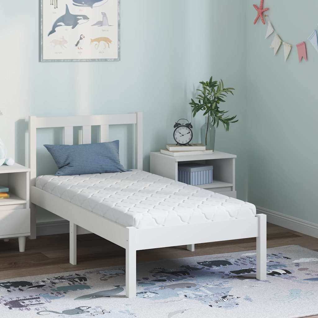 vidaXL Colchón con Capa de Coco 120 x 60 cm Espuma PU