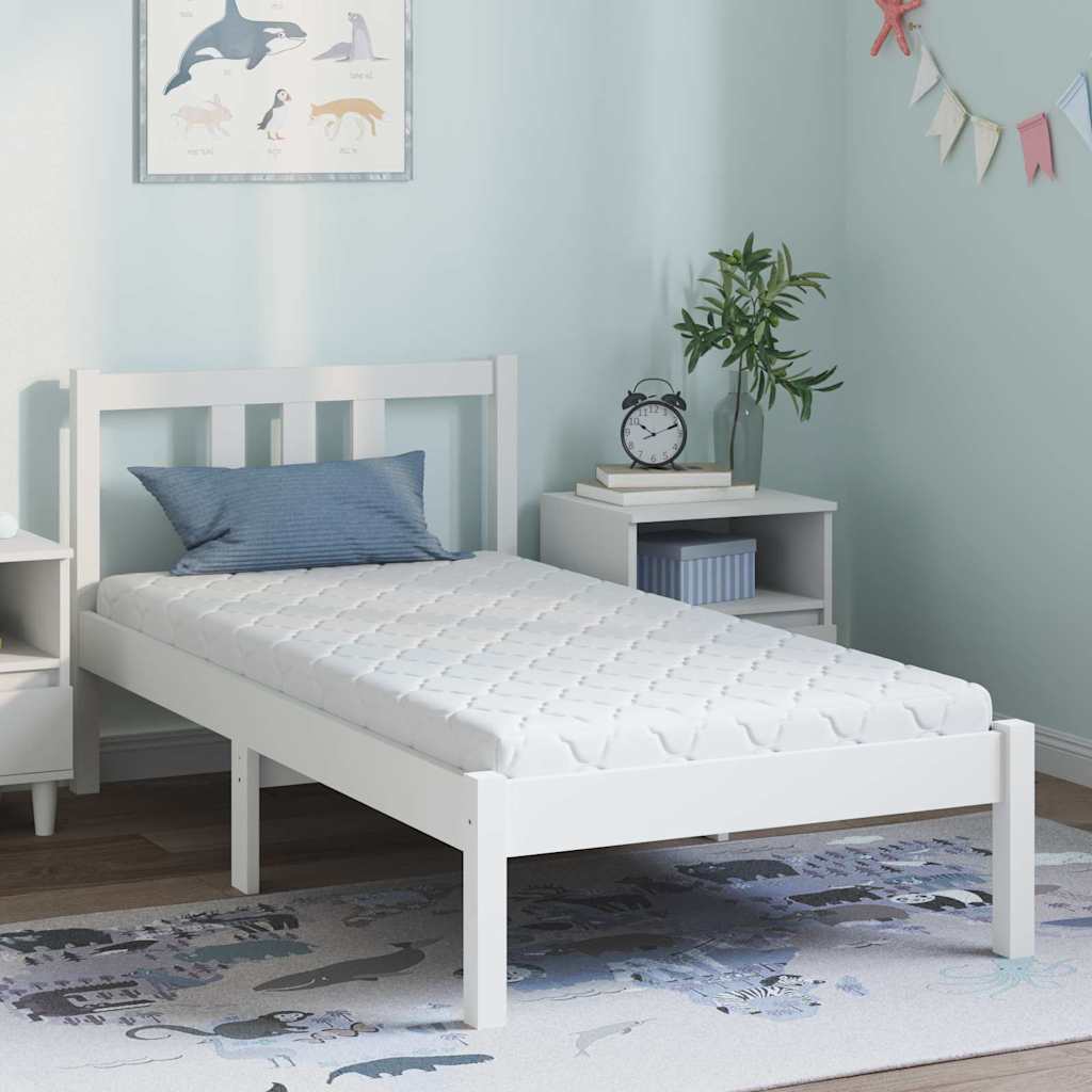 vidaXL Colchón con Capa de Coco 160 x 80 cm Espuma PU