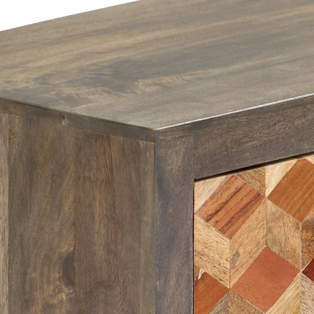 vidaXL Meuble TV Gris 120 x 30 x 40 cm Bois massif de manguier - Image 5