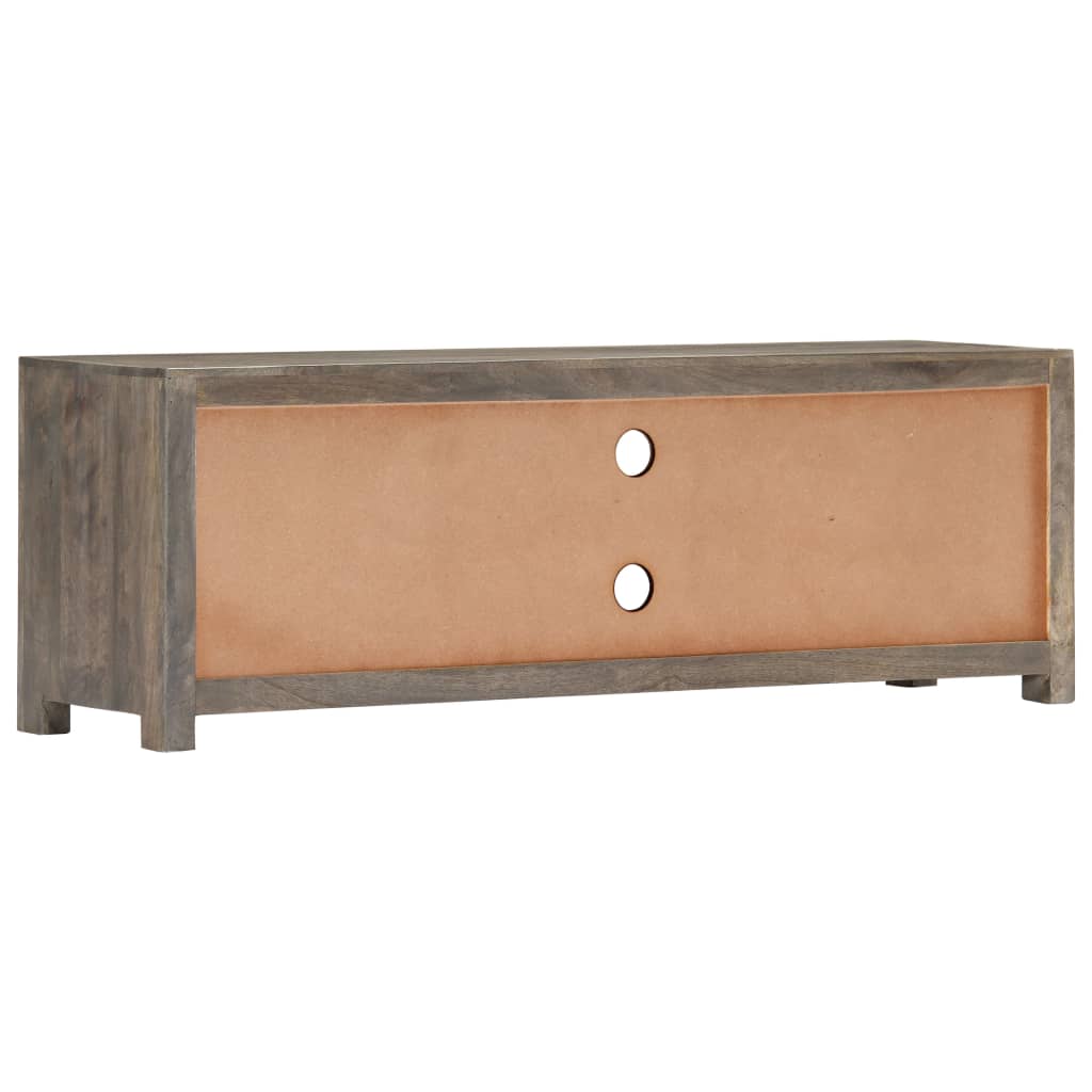 vidaXL Meuble TV Gris 120 x 30 x 40 cm Bois massif de manguier - Image 4