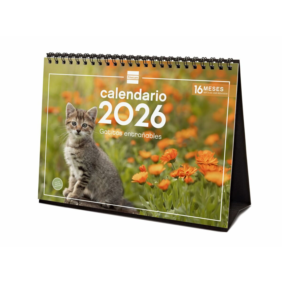 Calendario da Tavolo Finocam Multicolore Carta 21 x 15 cm