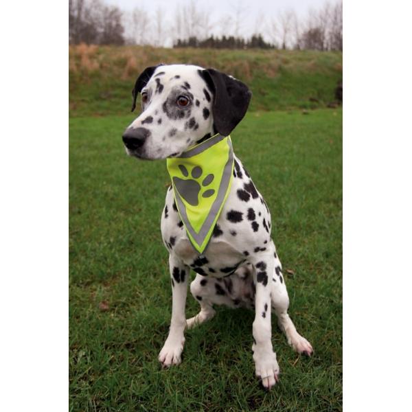 Bandana Catarifrangente per Animali Domestici Trixie