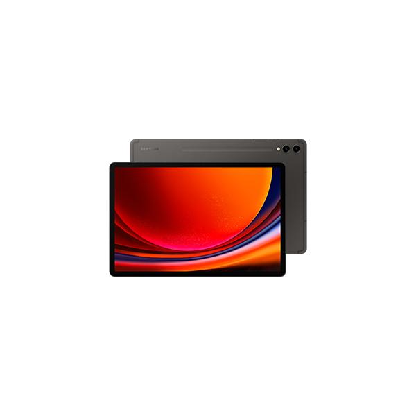 Tablet Samsung Galaxy Tab S9+ 12 GB RAM 512 GB 12,4" Grigio