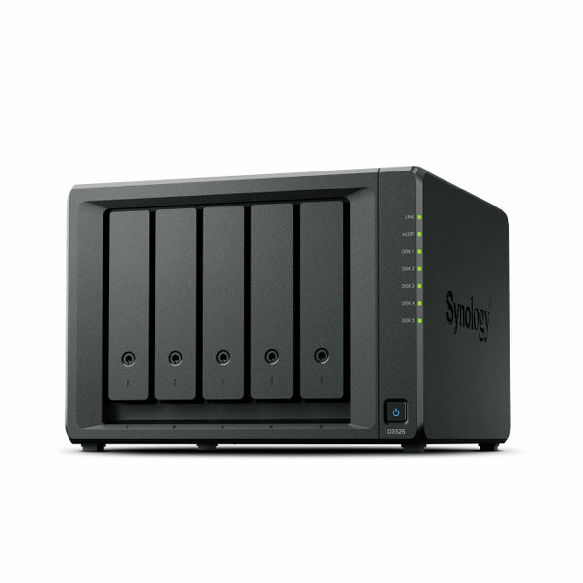 Memorizzazione in Rete NAS Synology DX525 Nero