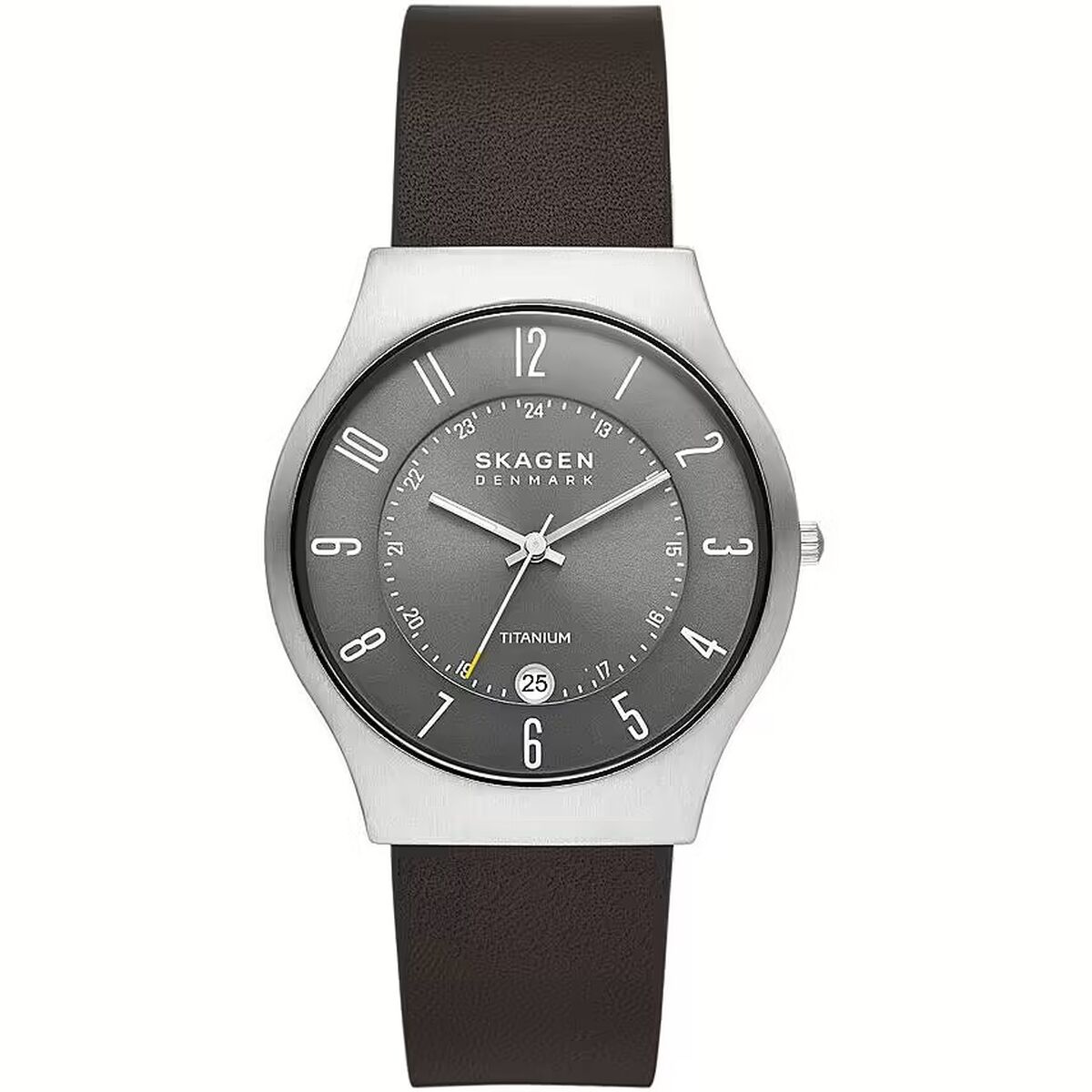 Orologio Uomo Skagen SUNDBY TITANIUM (Ø 40 mm)
